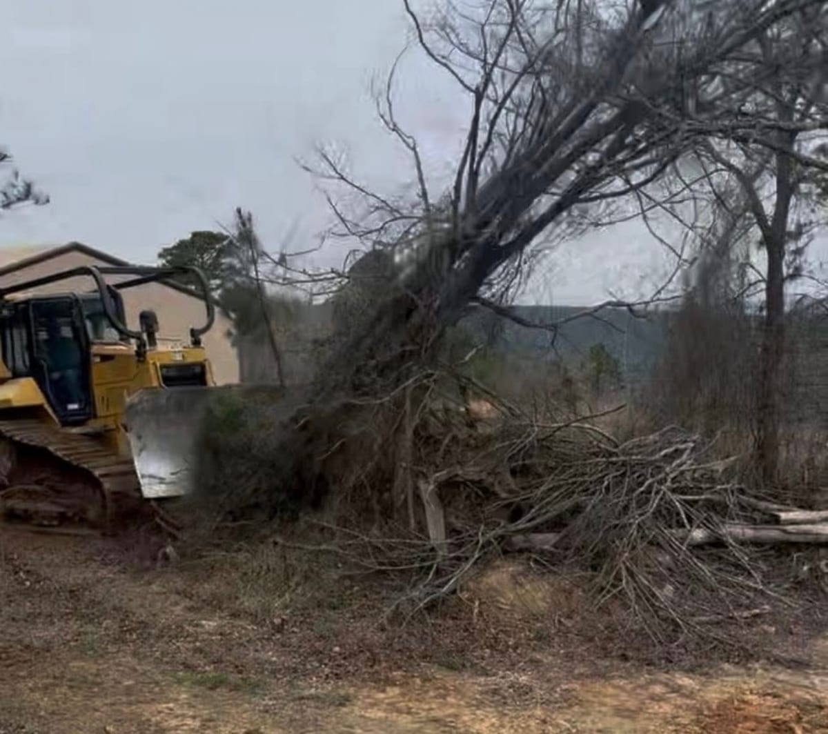 Kickin K Services dozer clearing brush and trees on a North Texas property